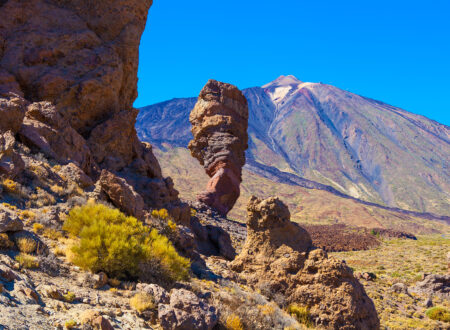 jeep safari la palma