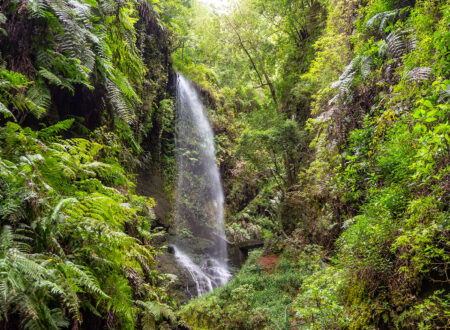 jeep safari la palma